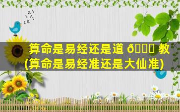算命是易经还是道 🐒 教(算命是易经准还是大仙准)
